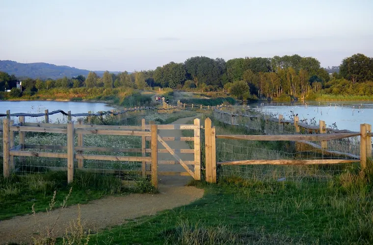 Waterfront & Estate