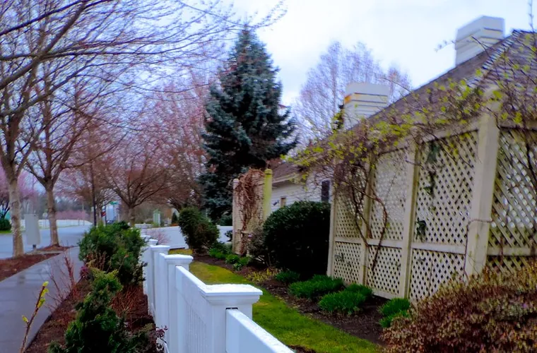Vinyl Fences